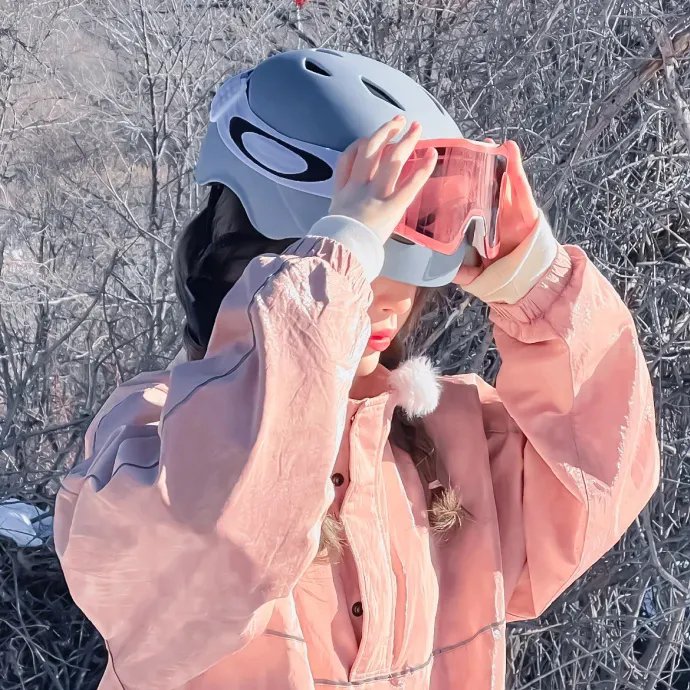 霍多洛夫斯基星座